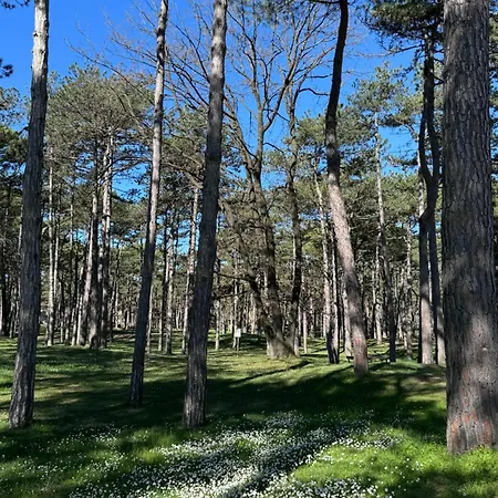 Vittoria Lignano Sabbiadoro